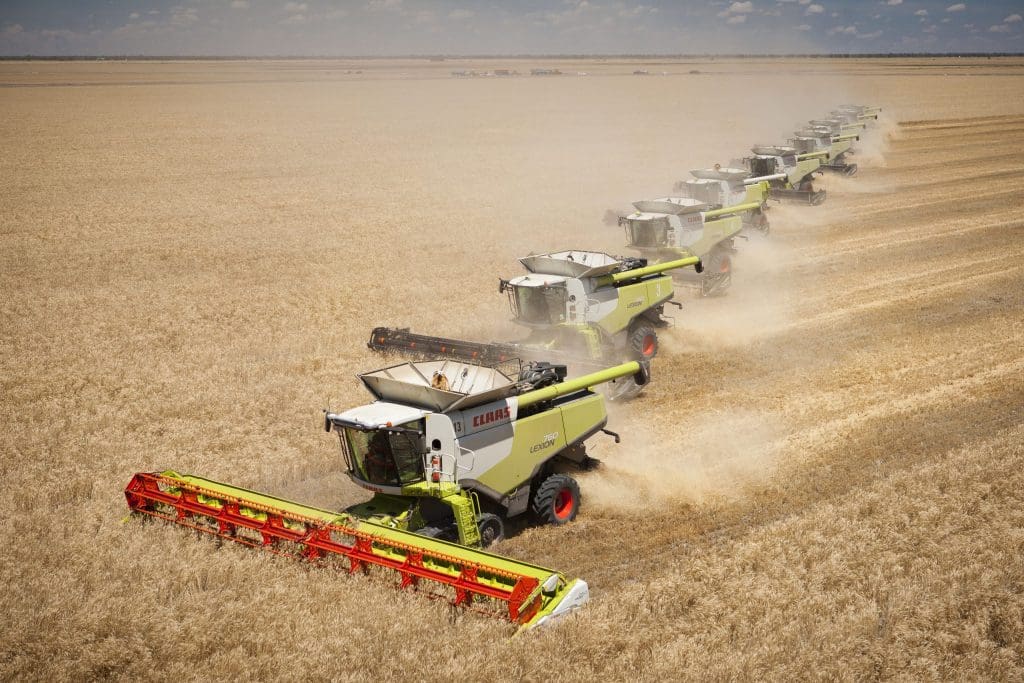 LEXION 6