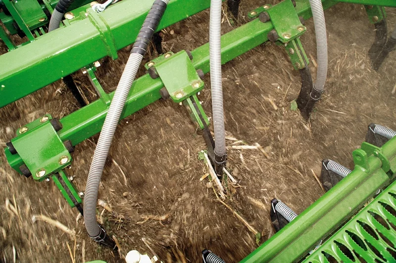 close up of a cayena in action