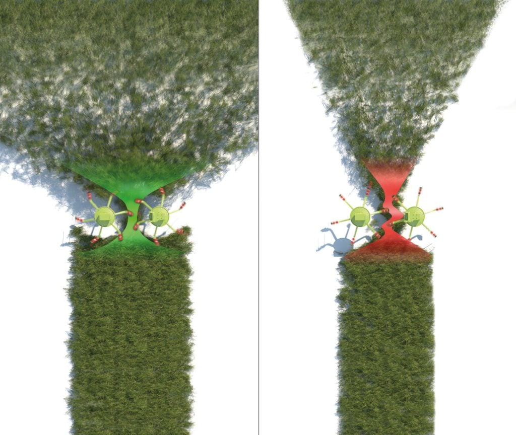 wider and distributed crops with the CLAAS VOLTO TEDDERS