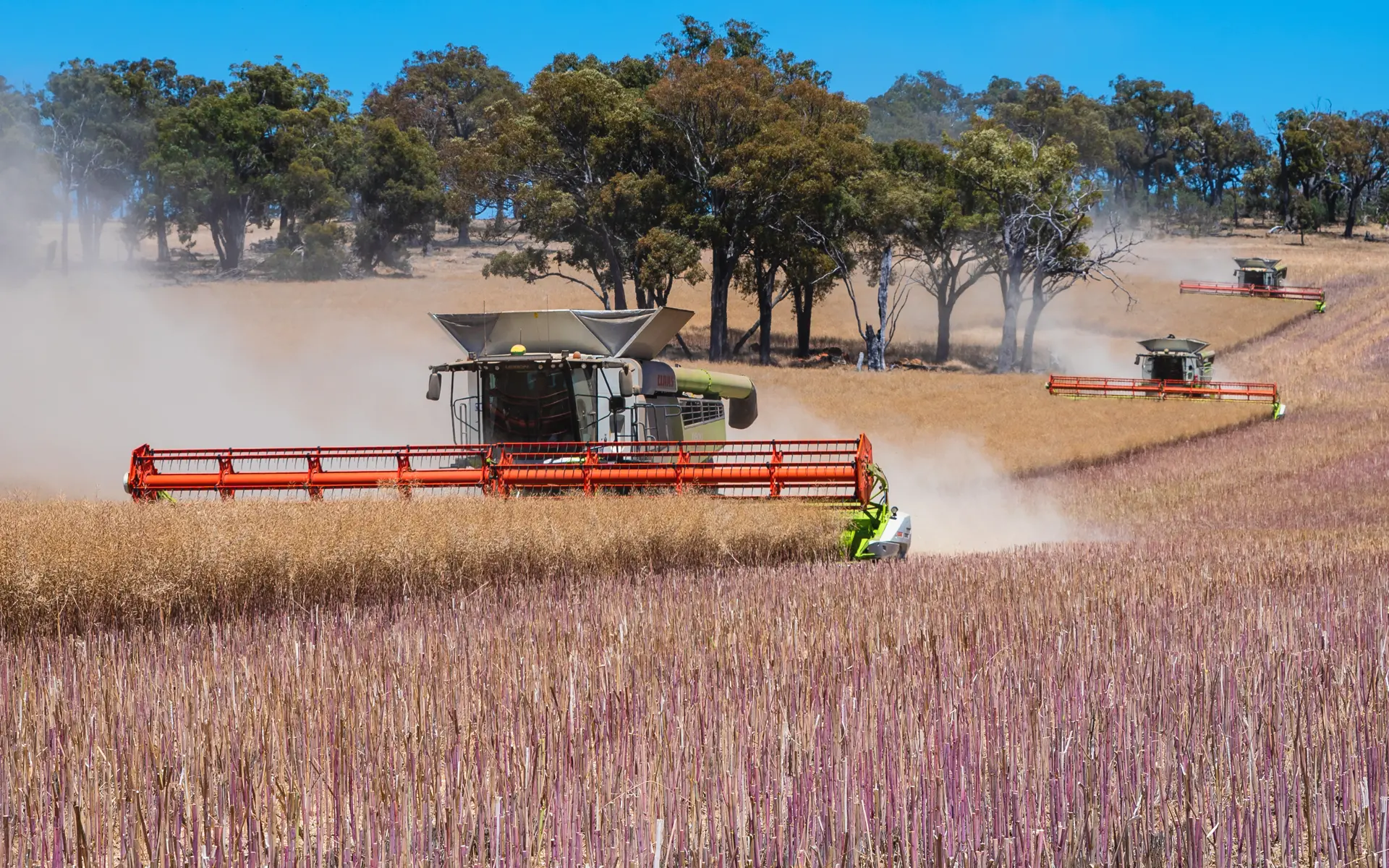 Harvesting | Harvesting Machinery | CLAAS Harvest Centre