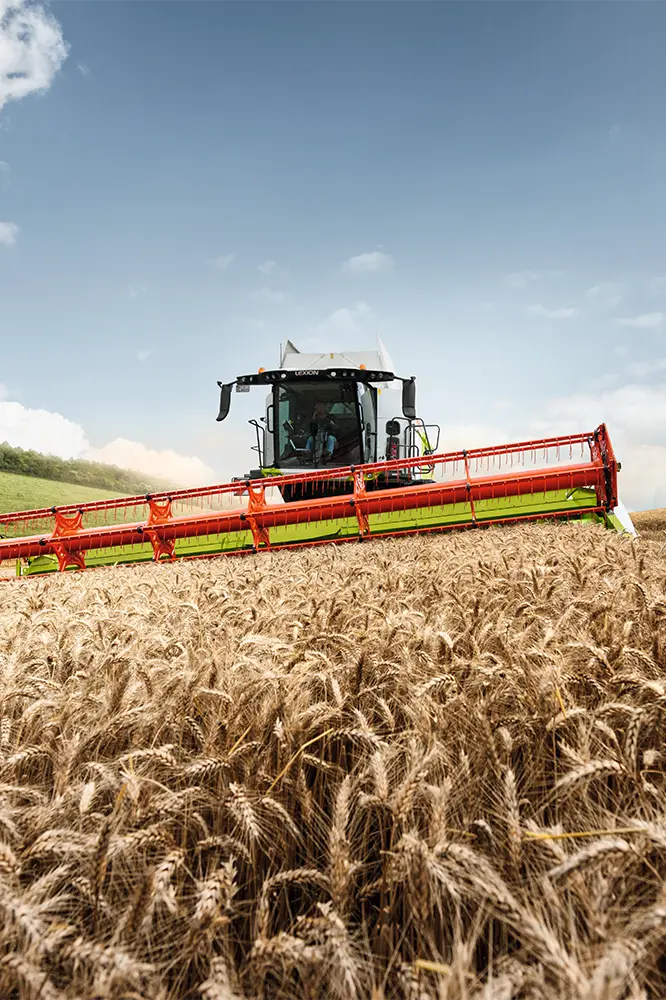 LEXION-Harvesting2