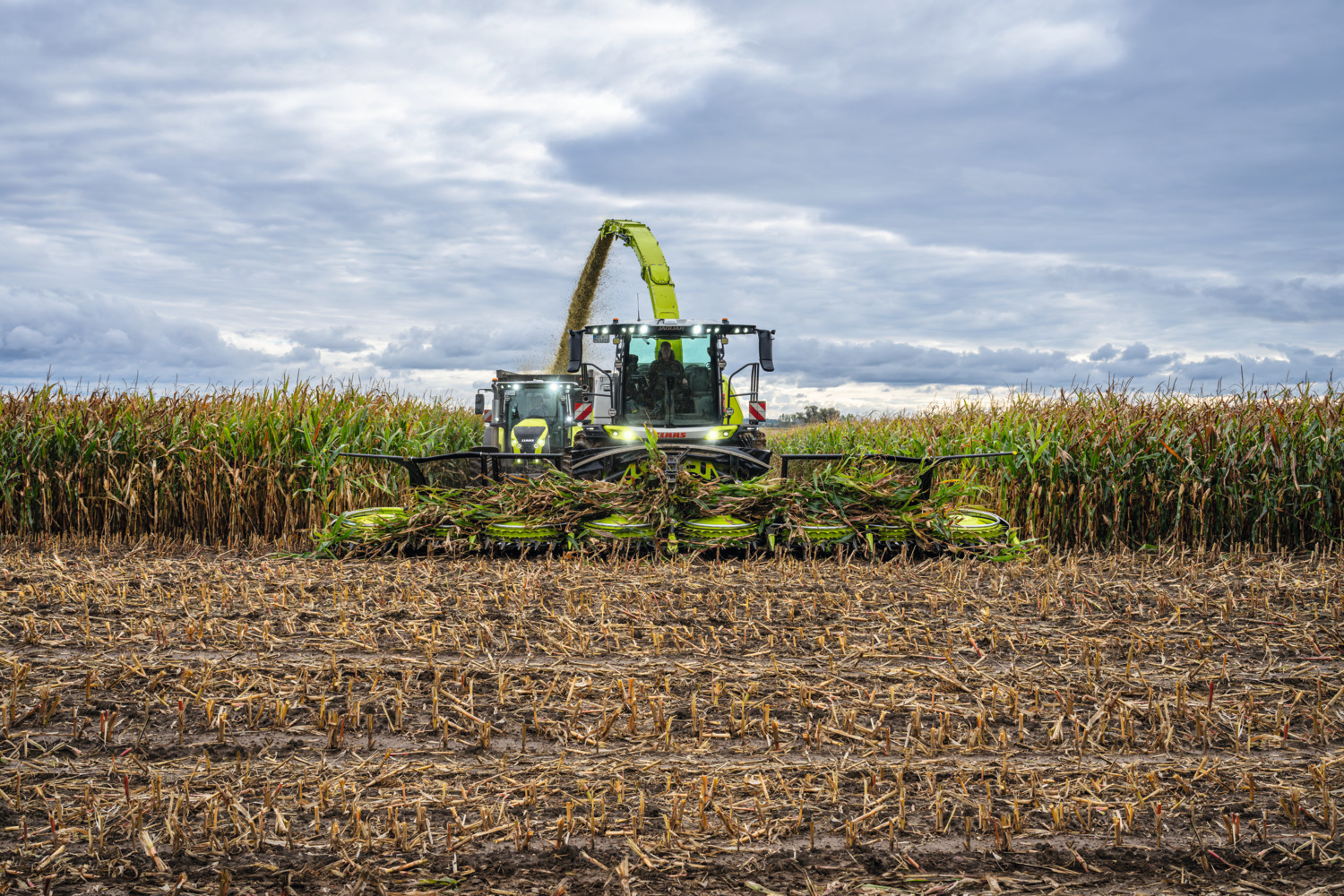 CLAAS JAGUAR 1000 